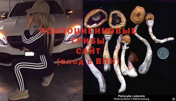дмт Балабаново